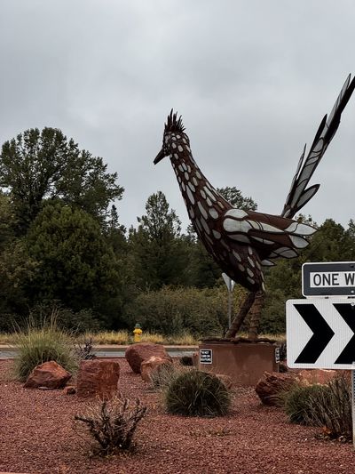 Return from Sedona photo 5